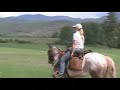 BC Back Country Horsemen Rendezvous 2008