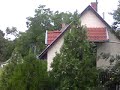 tabi k�pek