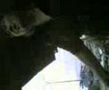 allah-marah.html