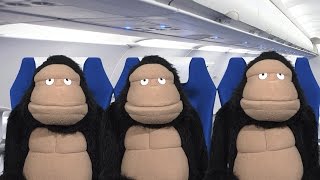 Fafa Explains Airplane Etiquette
