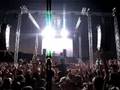Tiesto papaya 9 dio