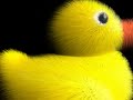 Fur.mp4