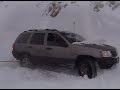 Big BEar 311 Day