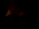 SLEEPY TIME WITH PROSTITUTE CATS