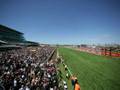 The 2008 Emirates Melbourne Cup Time-Lapse - The Slattery Media Group