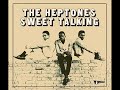 Heptones Tribute Jungle Feeling
