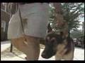 Dog Liability