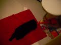 My dog barking toilet brush My dog barking toilet brush