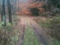 upstate 1