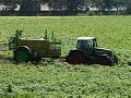 spuiten met dammann veldspuit