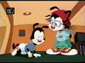 ANIMANIACS: Parodia Rugrats
