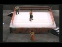 UCW New Superstar Promo!
