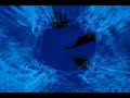 Ecstasy by Zenergy + V JING Ecstasy by Zenergy + V JING