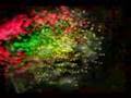 Ecstasy by Zenergy + V JING