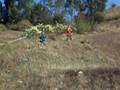 videos de xtm malaguti 50
