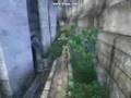 Oblivion Fun