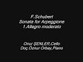 F.Schubert - Sonata for Arpeggione 1.mvt