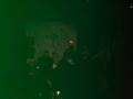 Calvin Marty and The Sunken Ship Live At Matilda, November 6, 2008 - Part 1