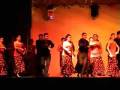 videos de Flamenco Intermedios & Avanzados - Semana de la Cultura XXVIII