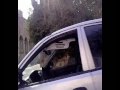 حصريا كليب عمرو دياب (عيني و انا شايفو 2009
