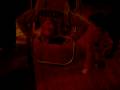 videos de upsidedown 003
