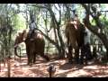 South Africa Day 2 Medium.avi