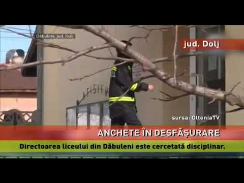 Directoarea Liceului Teoretic din Dăbuleni, cercetată disciplinar