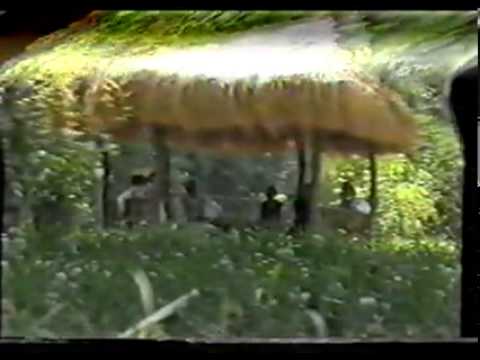 Videot e Vetim Hamzallariu