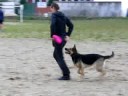 Axa & Zaczarowana - 18.08.2008 Frisbe Axa & Zaczarowana - 18.08.2008 Frisbe