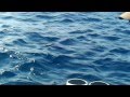 Puerto Vallarta Fishing for Sailfish