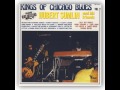 Hubert Sumlin And Friends - Slip In Mules
