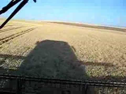 Wheat Harvest in Nezperce Idaho - ...
