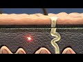 This video was produced to help students of human anatomy at Modesto Junior College study our anatomical models.