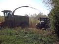 ensilage 2009