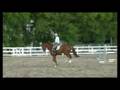 sm canter 1