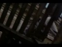 teaser from the lp
