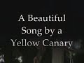 The Canary Aviary at the House