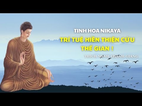 Tinh Hoa NIKAYA - Trí Tuệ Hiền Thiện Cứu Thế Gian !