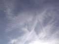 videos de ALIEN ARRIVAL (RAW FOOTAGE) 4-19-07 Chemcloud Beast