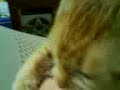 MOV00040.3GP