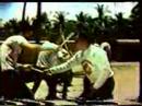 The Art of Eskrima=Am Yisroel HAI (Faster Than Sound)!