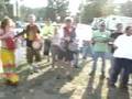 HIPIS GRINGOS TOCANDO EN MARCHA DE LATINOS UNIDOS