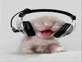 Will.i.am feat. Eva Simons – This Is Love