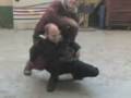 videos de video-0015
