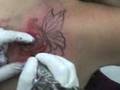 videos de Minha tatoo 2.3gp