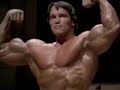 Schwarzenneger Body Building Legend