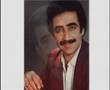 dj salih remix ikimiz bir fidanin daliyiz