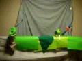 jack and the bean stalk done by grace becky becky sandy and victoria