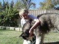 videos de random thing i did