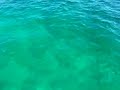 Rainbow reef in Nassau, Bahamas